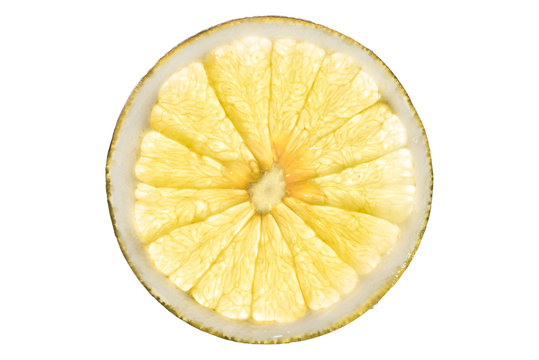 grapefruit slice isolated on white background back lighted