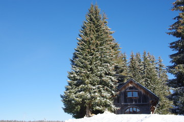 chalet sous la neige