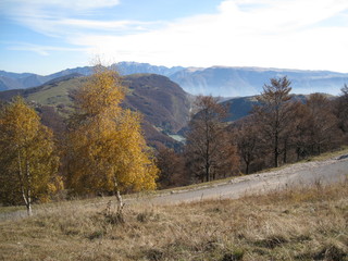 Fototapeta premium Diga