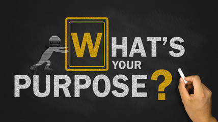 what's your purpose?