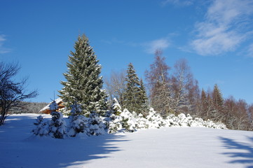paysage hivernal -savoie