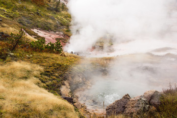 Yellowstone Nationalpark, Utah, USA
