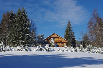 chalet sous la neige