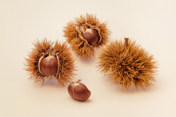 Castagne