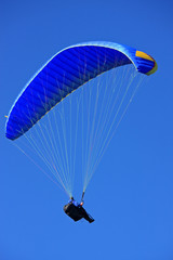 paraglider