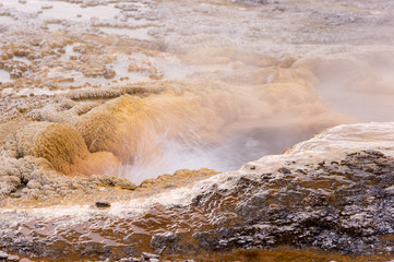 Yellowstone Nationalpark, Utah, USA