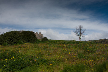 Typical Calabrian countryside hinterland