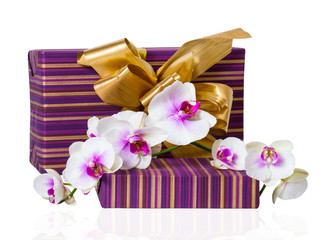 Orchid flower and gift box.