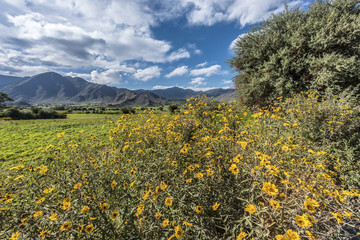 Cachi Adentro in Salta, northern Argentina