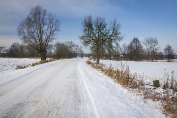 Fototapeta premium Winter time 