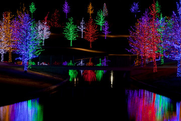 Trees tightly wrapped in LED lights for the Christmas holidays r