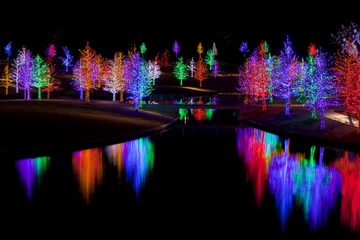 Raamstickers Trees tightly wrapped in LED lights for the Christmas holidays r © Aneese