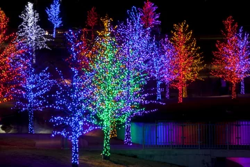 Foto op Canvas Trees tightly wrapped in LED lights for the Christmas holidays r © Aneese