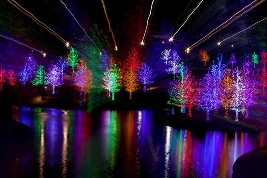 Abstract of trees tightly wrapped in LED lights for the Christma