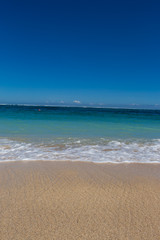 Beautiful tropical beach with lush vegetation