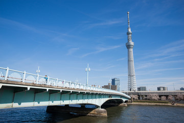 早春の東京スカイツリー