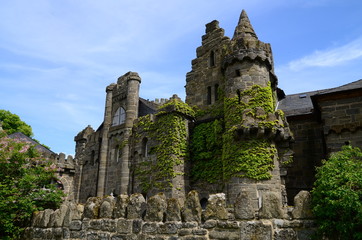 Naklejka premium Die Löwenburg in Kassel