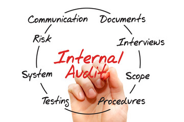 Internal Audit process chart, business concept