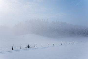 campagne enneigée sous la brume