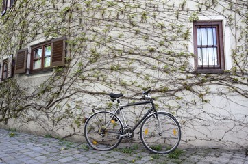 Fototapeta na wymiar Fahrrad
