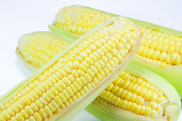 Corn
