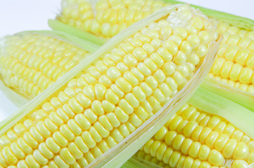 corn