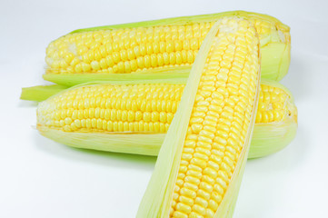 Corn