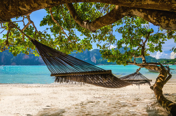 Hammock hanging under exotic tree on beach with white sand below
