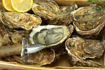 bourriche d'huîtres