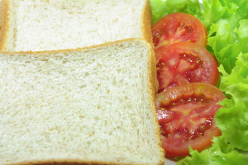 Bread