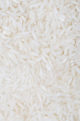 Rice Background