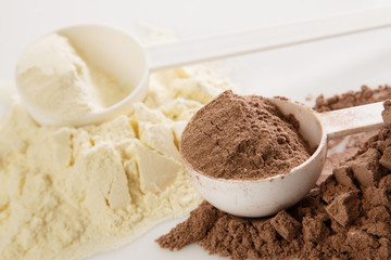 Protein powder