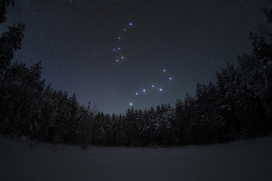 Beautiful night winter landscape with the stars