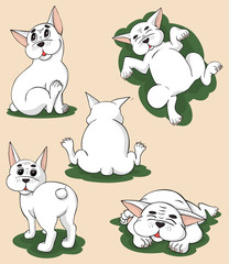 Funny white bulldog in five different poses