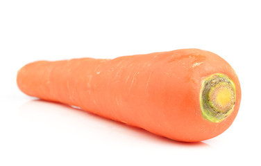 Carrot