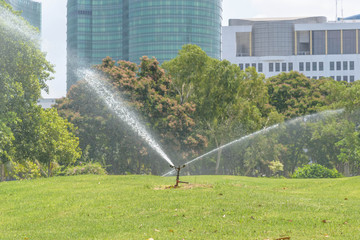 watering in the park