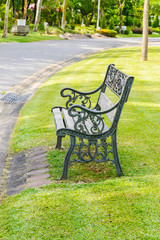 bench in the green park