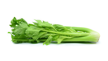 Fresh green celery isolated on white