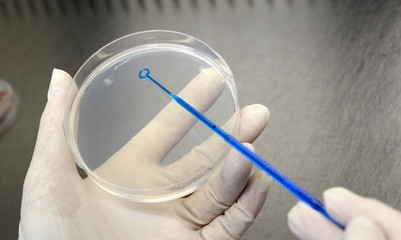 実験（微生物）