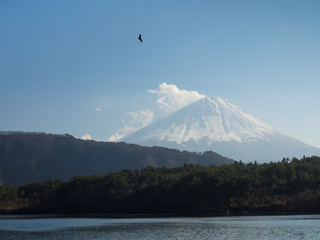西湖から望む富士山