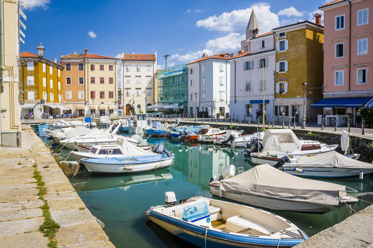 amazing view on a city center of Muggia 