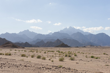 Rocky desert landscape with mountains