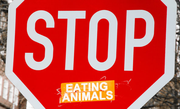 Tiere essen