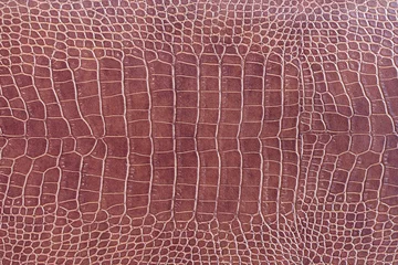 Muurstickers brown crocodile skin texture as a wallpaper © charnsitr