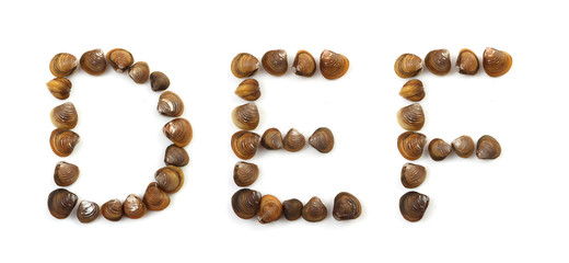 Handwritten modiola typeface on white background