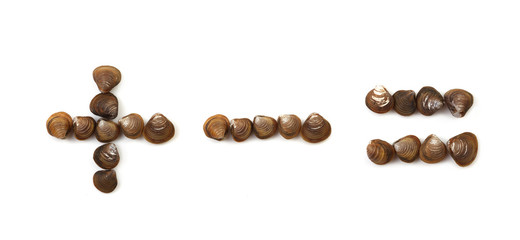 Handwritten modiola typeface on white background