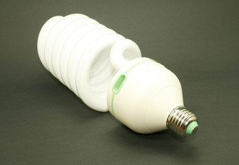 energy efficient light bulb isolated