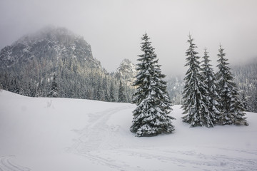 Winter trail in Koscieliska valley, Tatry Mountains, Poland