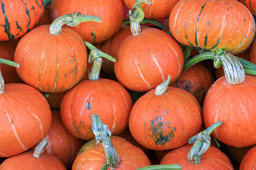 pumpkins background