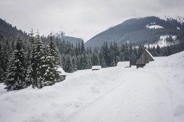 Fototapeta na wymiar Winter road with snow in Chocholowska valley - Tatra Mountains